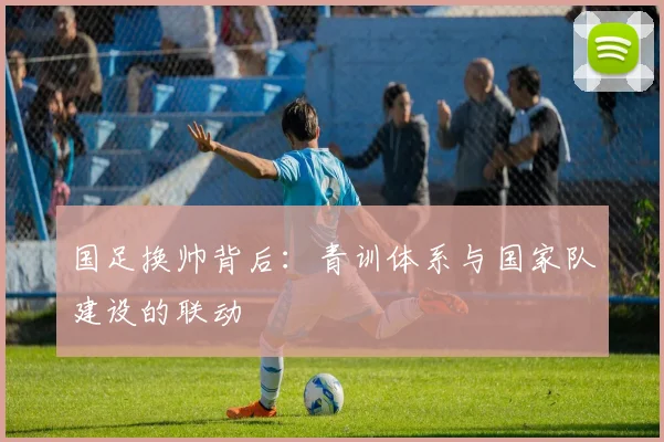 国足换帅背后：青训体系与国家队建设的联动