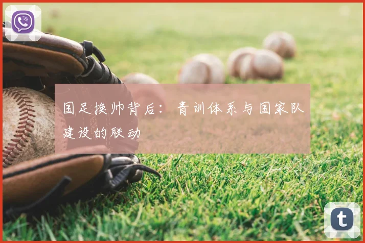 国足换帅背后:青训体系与国家队建设的联动